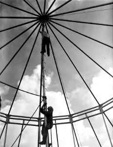 Circus Mikkenie, Bestanddeelnr 903-0319