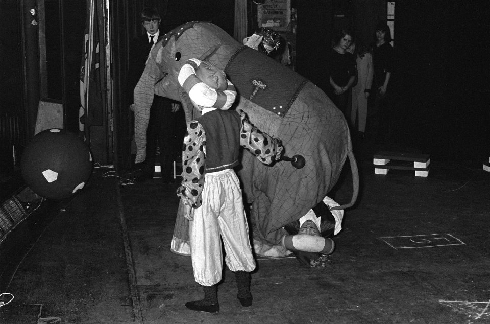 Circus Elleboog in nieuwe De La Mar theater , gevaarlijk truc van olifantentemme, Bestanddeelnr 919-9199