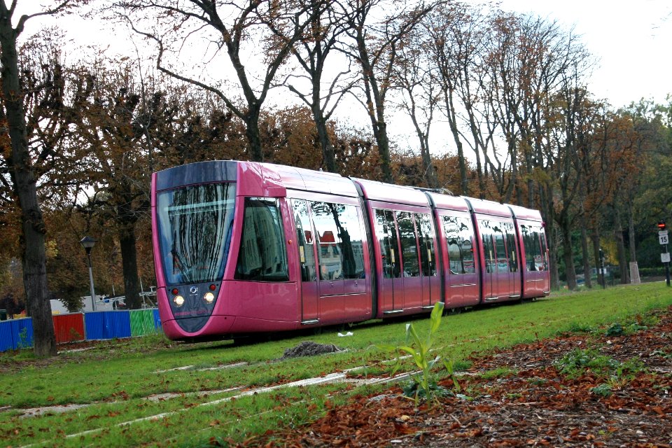 CITURA Citadis Fuchsia 2