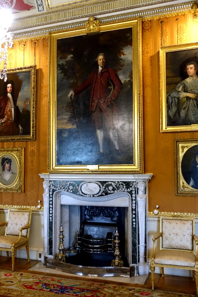 Cinnamon Drawing Room fireplace with portrait of Edwin Lascelles, Lord Harewood, by Sir Joshua Reynolds, late 1700s, oil on canvas - Harewood House - West Yorkshire, England - DSC01913