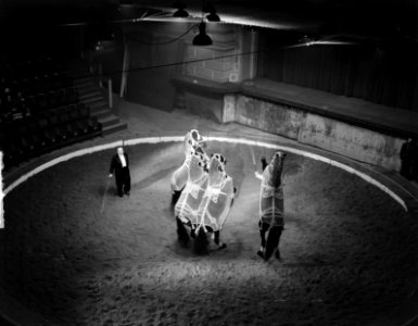 Circus Strassburger . Paardendressuur, Bestanddeelnr 903-1490