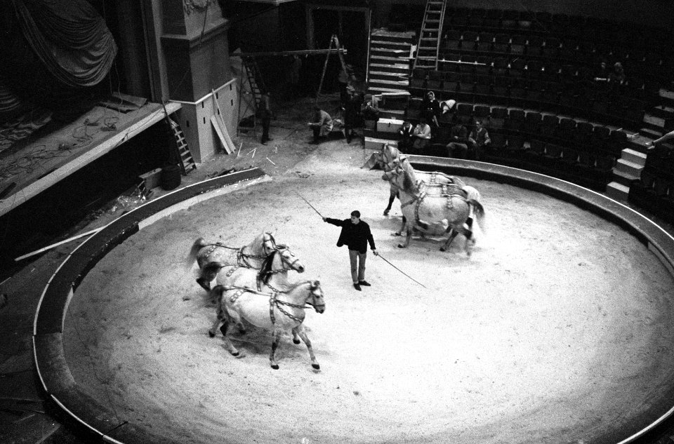 Circus Althof in Carre, Bestanddeelnr 914-6213