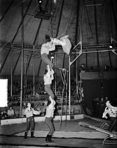 Circus Mikkenie. Acrobatiek, Bestanddeelnr 903-4033