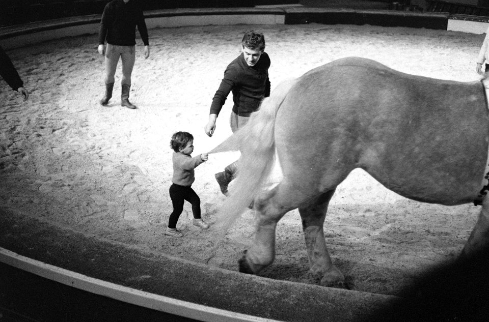 Circus Althof in Carre, Madeleine, anderhalf jaar, leert de paarden te wennen, Bestanddeelnr 914-6211