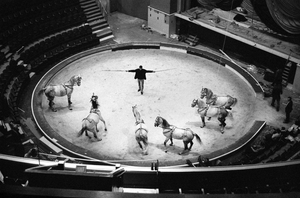 Circus Althof in Carre, de heer Althof met paarden tijden de repetitie, Bestanddeelnr 914-6209