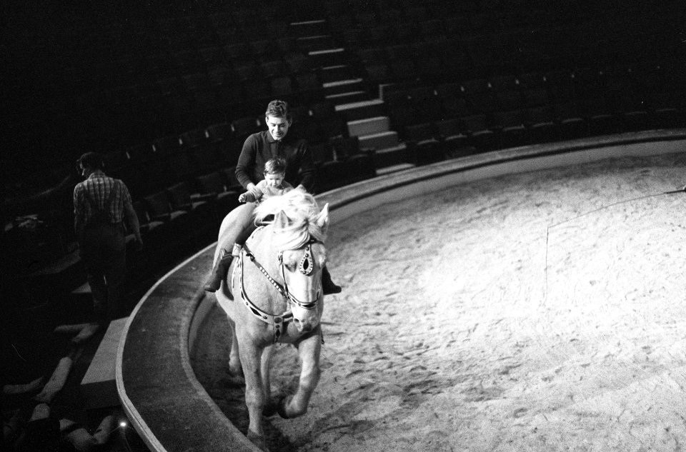 Circus Althof in Carre, Bestanddeelnr 914-6216