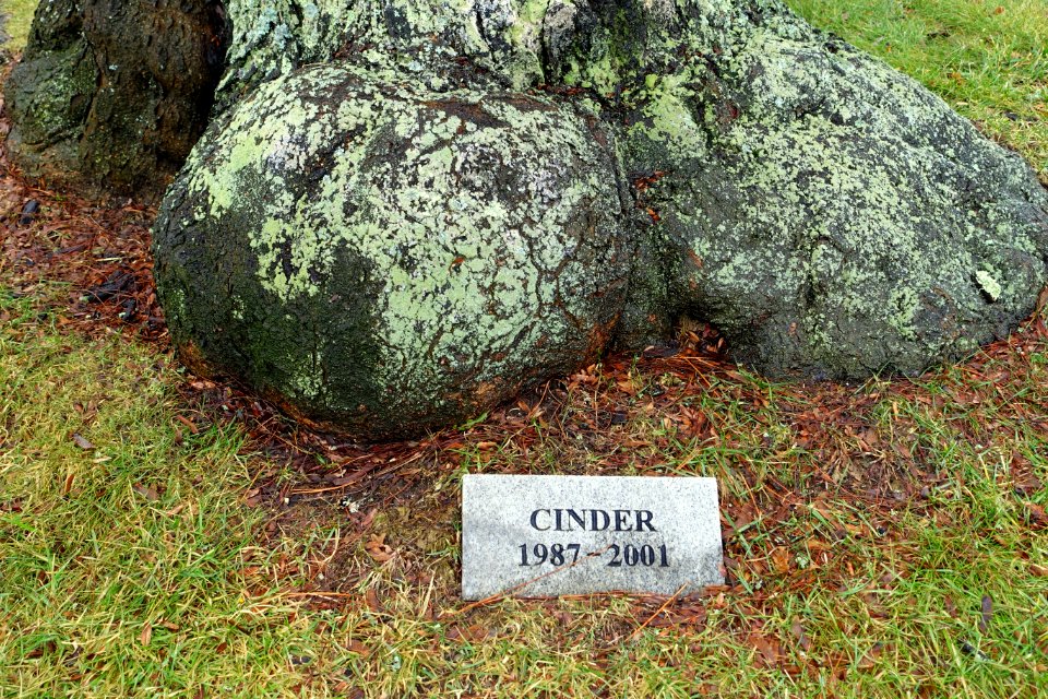 Cinder Memorial - Westford, Massachusetts - DSC09045