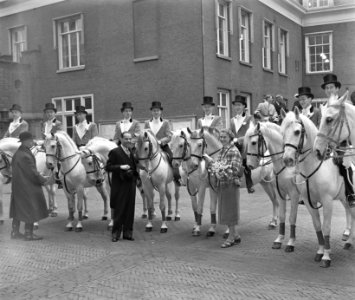 Circus huwelijk mejuffrouw Vermeyden van Circus Kavaljos met dr. Hendriks uit Ut, Bestanddeelnr 906-3564