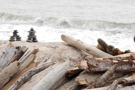 Water wood rock photo