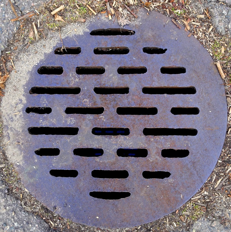 Circular grate - Arlington, MA - DSC06521