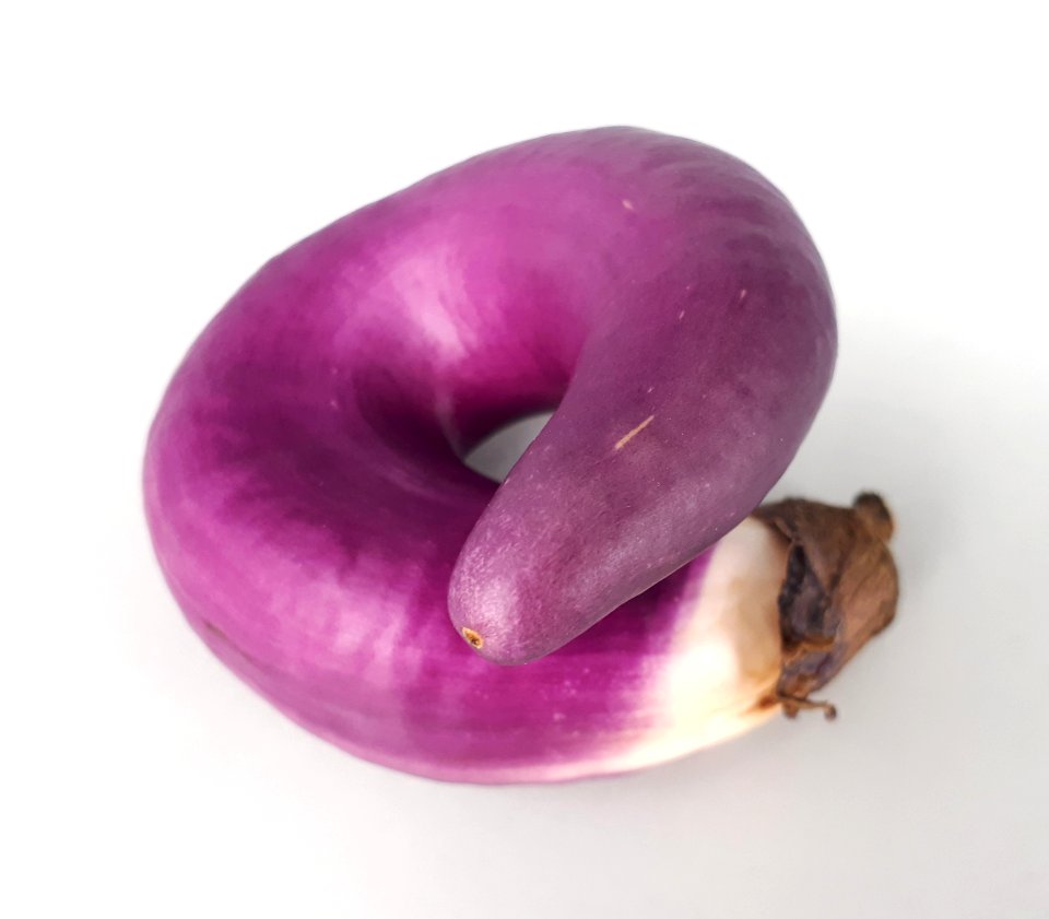 Circular Orient Charm eggplant 2017 A2