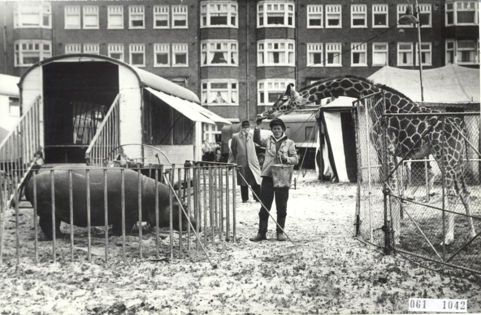 Circus Althoff begint met haar voorstellingen te Amsterdam. Als goede buren leve, Bestanddeelnr 061-1042