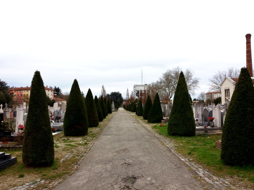 Cimetière de Loyasse - Nouveau 4
