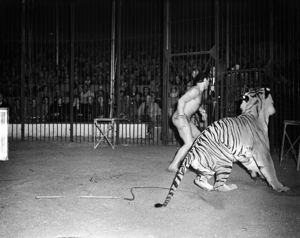 Circus Mikkenie, Bestanddeelnr 903-4020