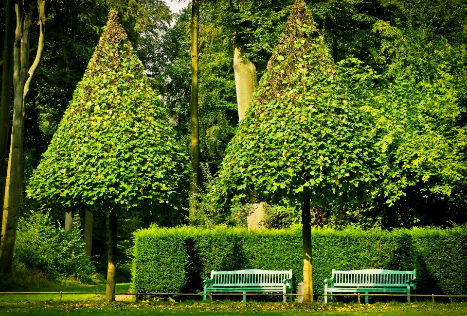 Nature landscapes of course