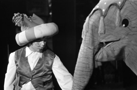 Circus Elleboog in nieuwe De La Mar theater, Bestanddeelnr 919-9204