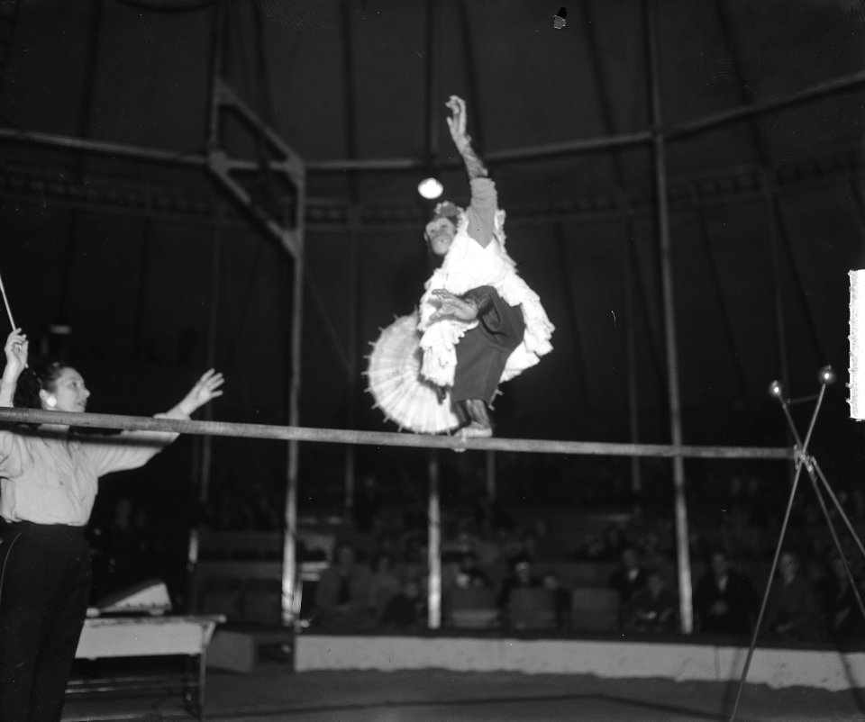 Circus Mikkenie . Aap op koord, Bestanddeelnr 903-0419