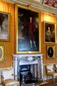 Cinnamon Drawing Room fireplace with portrait of Edwin Lascelles, Lord Harewood, by Sir Joshua Reynolds, late 1700s, oil on canvas - Harewood House - West Yorkshire, England - DSC01938