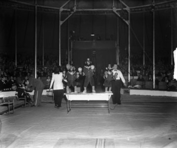 Circus Mikkenie . Apen, Bestanddeelnr 903-0404
