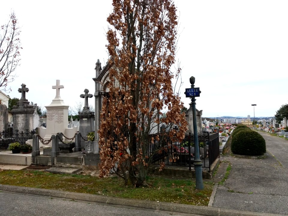 Cimetière de Loyasse - Nouveau - Allée n°1