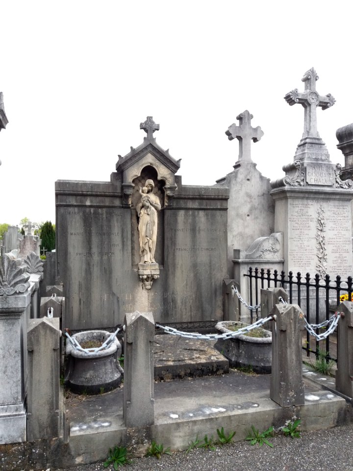 Cimetière de Loyasse - Ancien - Famille Bégule - Lucien 2