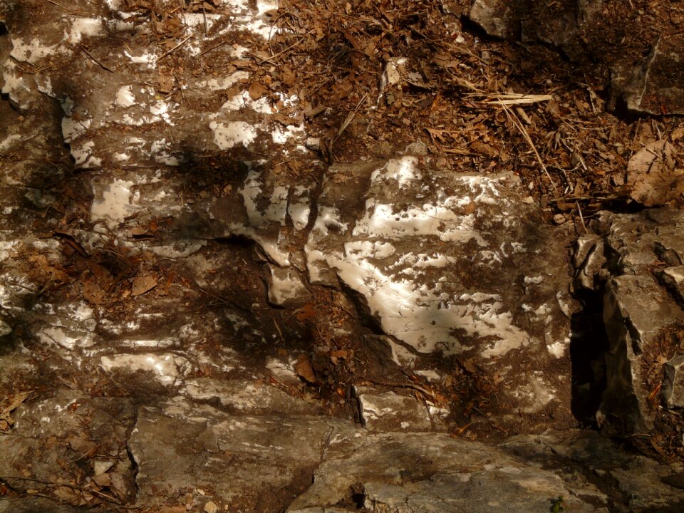 Limestone sanded ceded