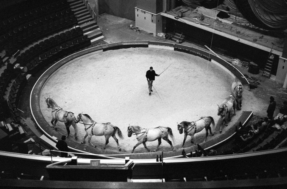 Circus Althof in Carre, Bestanddeelnr 914-6214