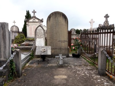 Cimetière de Loyasse - Ancien - Famille Sicard - Nicolas