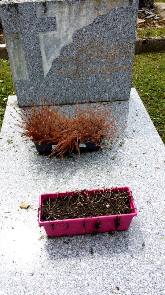 Cimetière des Rousses - 10