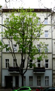 Christstraße 8 (Berlin-Charlottenburg)