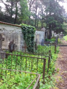Cimetière de Cuire - Tombes 5