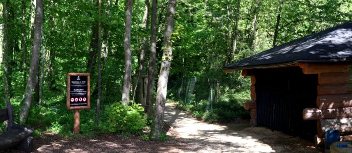 Cimetière forestier régional «Gehaansbierg» 20210529