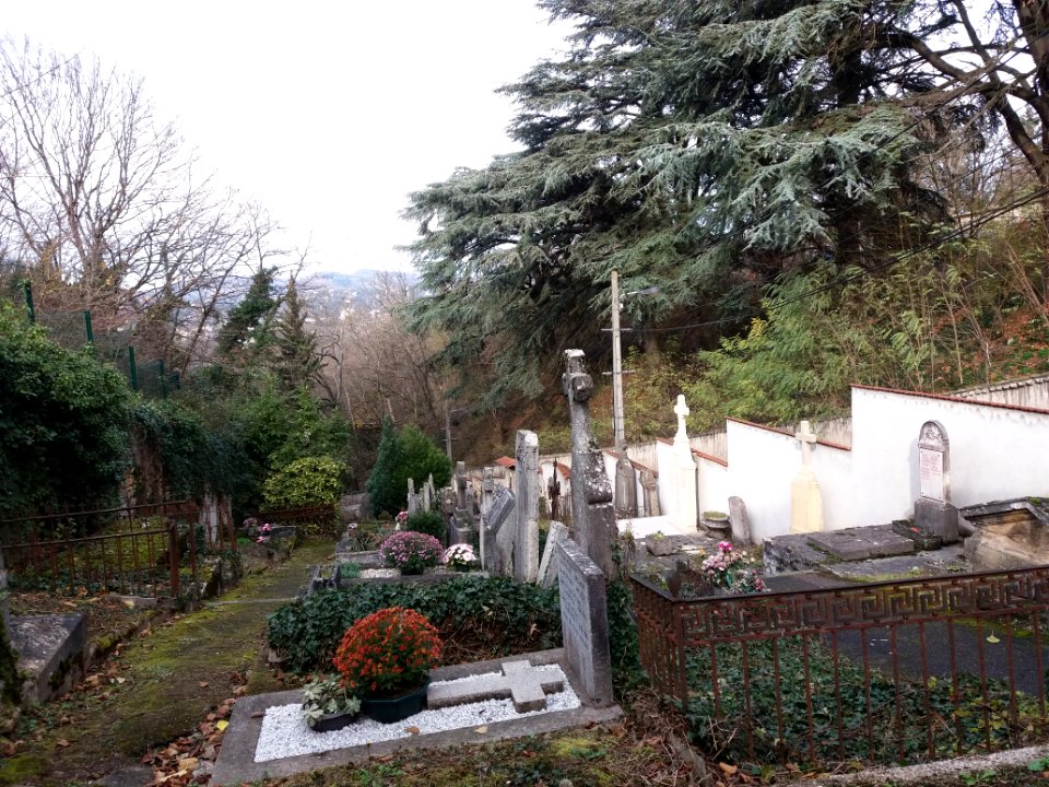 Cimetière de Cuire - Vue depuis le haut, côté droit
