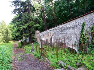 Cimetière de Cuire - Tombes 3