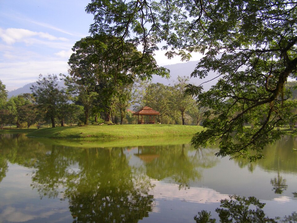 Nature park landscape