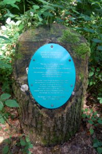 Church in the Woods, Bramdean Common (July 2019) (Plaque)