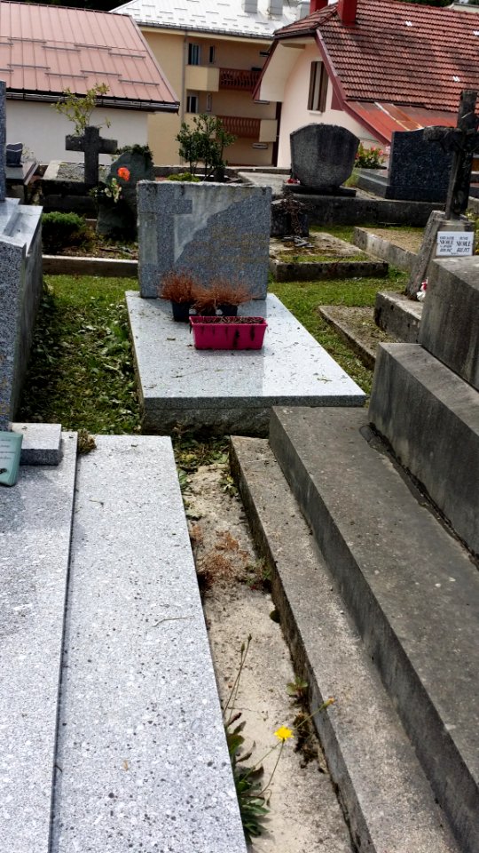 Cimetière des Rousses - 11