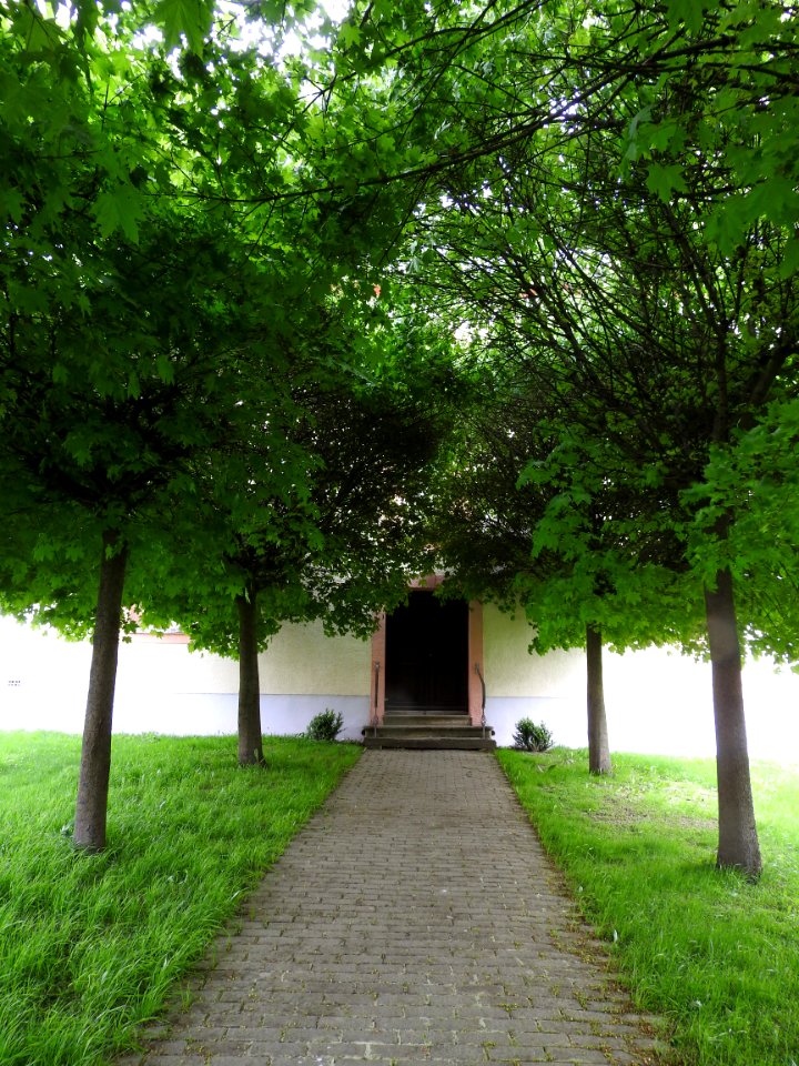 Church Dittersdorf, Thuringia 3