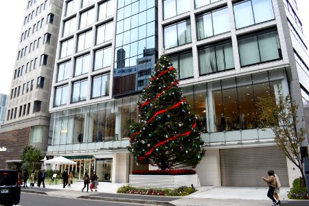 Christmas tree in Omotesando photo