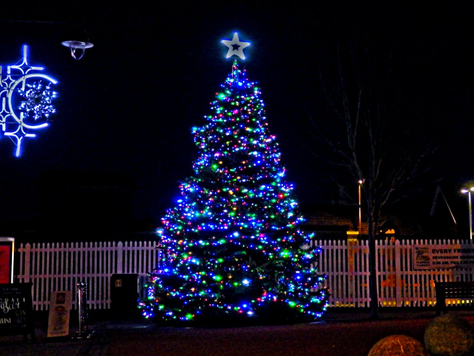 Christmas Tree, Devonshire Square, Bexhill