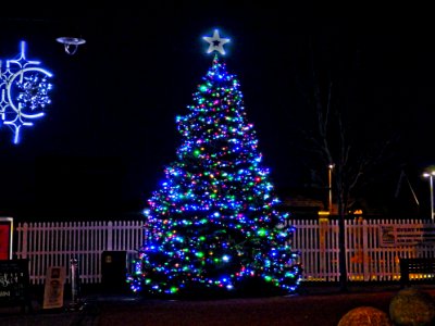 Christmas Tree, Devonshire Square, Bexhill