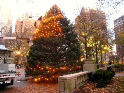 Christmas tree in Rittenhouse Square - IMG 7511