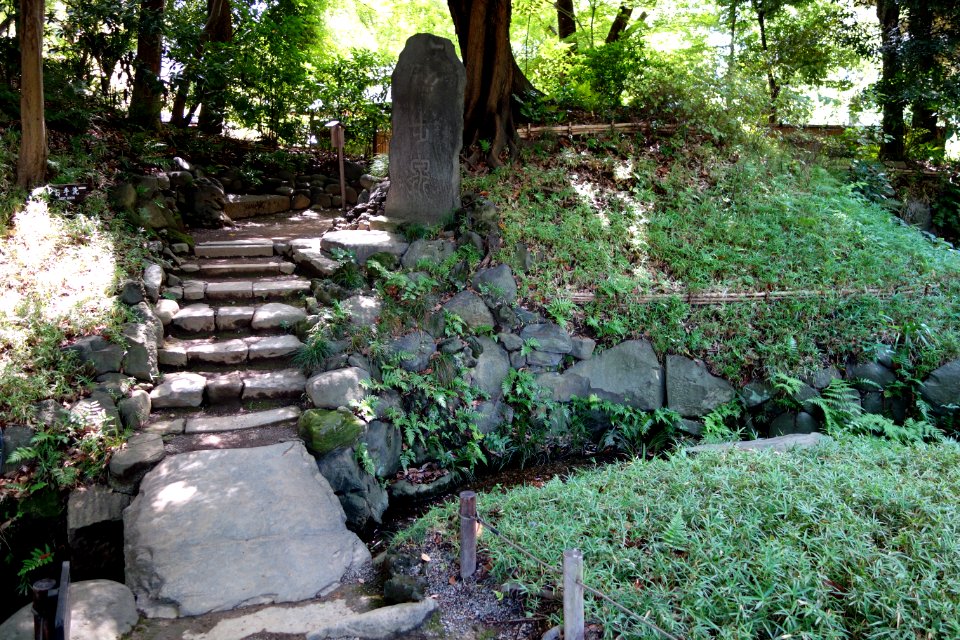 Chuho-sen - Koishikawa Korakuen - DSC09193