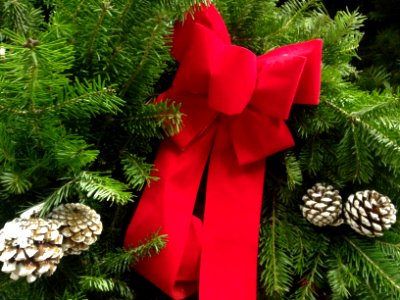 Christmas wreath with bow