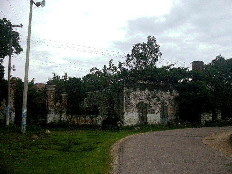 Chunkanán (Cuzamá), Yucatán (05)