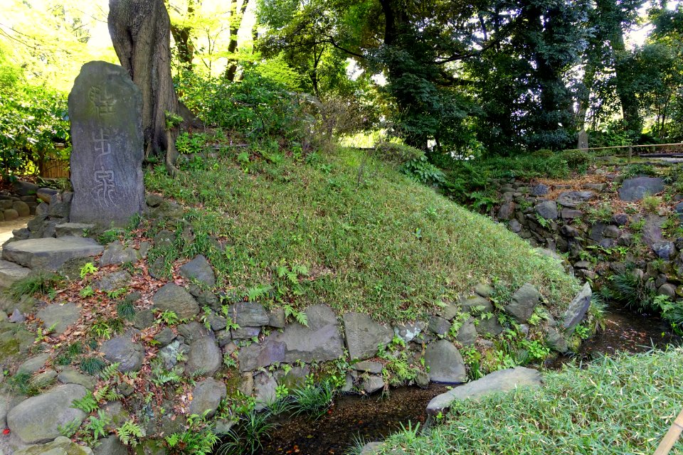 Chuho-sen stream - Koishikawa Korakuen - Tokyo, Japan - DSC06174