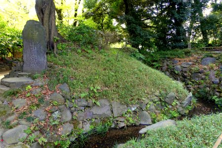 Chuho-sen stream - Koishikawa Korakuen - Tokyo, Japan - DSC06174