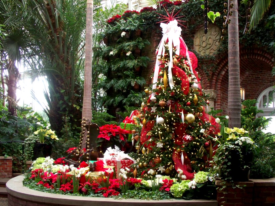 Christmas tree, Phipps Conservatory, 2014-12-29