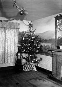 Christmas tree and little girl (1294081)