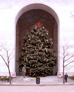 Christmas Tree and Menorah, City-County Building, Pittsburgh, 2020-01-07 photo